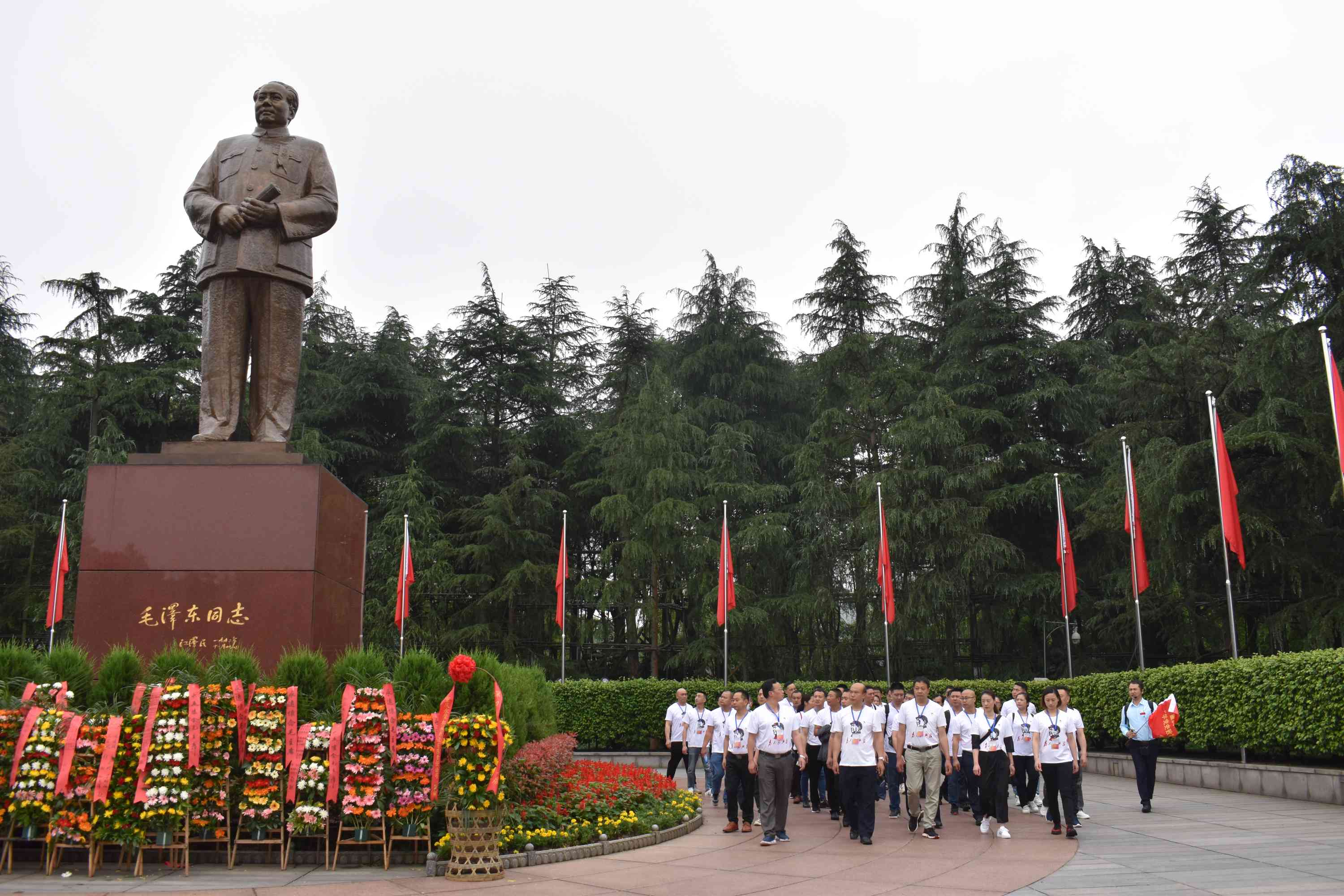 1626081052386210.jpg 1626081052386210.jpg